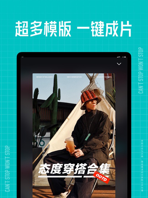 趴在枫叶堆里的柴犬幼崽打哈欠壁纸